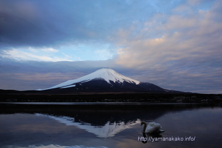 曇り空の下に富士山 山中湖観光情報気まぐれブログ