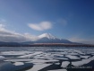 流氷が雪で白くなりめずらしい景色となりました。 14年1月14日撮影