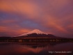 燃えるような朝焼けで太陽と反対側もピンク色に染まりました。 15年3月28日撮影