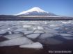 溶け始めた氷が風に流されてきています。 08年2月27日撮影