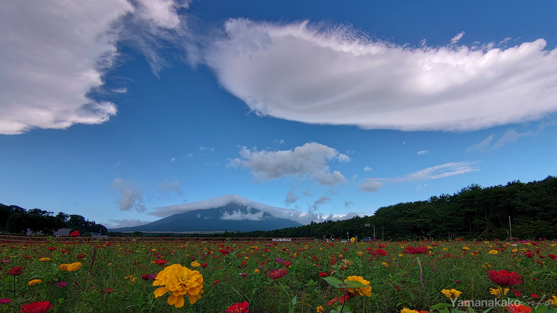 最近の富士山 壁紙用 山中湖観光情報