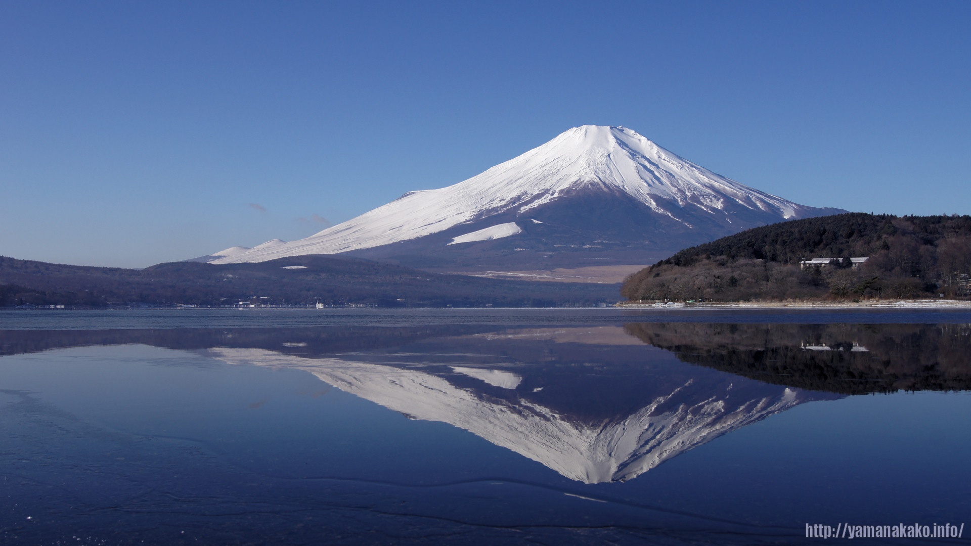 11年の富士山 壁紙用 山中湖観光情報