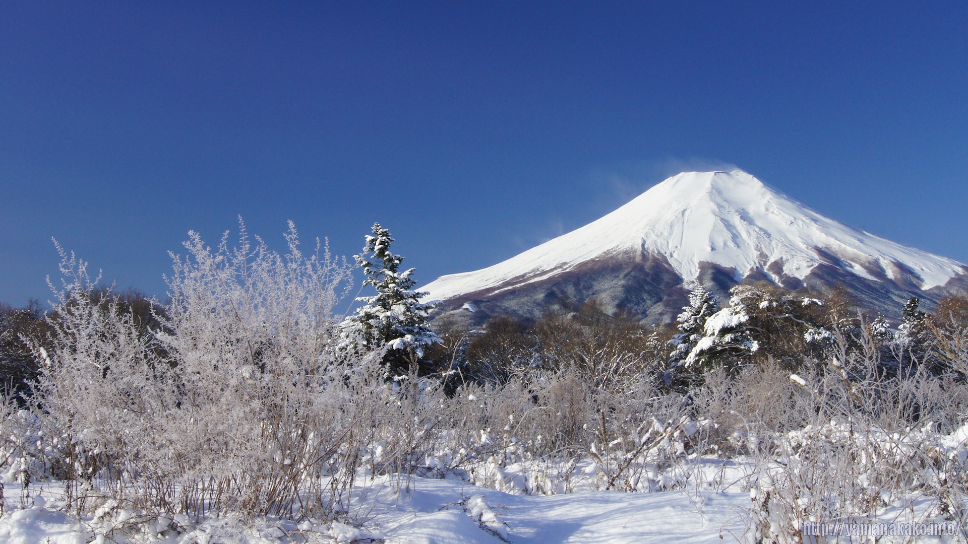 11年の富士山 壁紙用 山中湖観光情報