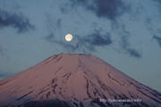 あと10分ほどでパール富士、このときはほんのりピンク色に染まっていた富士山ですが・・・