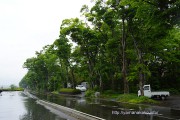 雨の長池親水公園