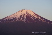 久しぶりにきれいな富士山が見えました