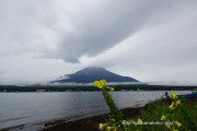 曇っているけど富士山が見えた