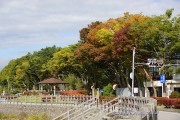 長池親水公園付近の木々