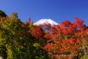 花の都公園清流の里の紅葉