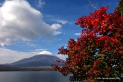 ママの森付近サイクリングロードの紅葉