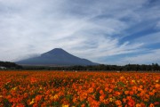 久しぶりの富士山とオレンジフレア