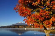 紅葉と富士山と湖と・・・