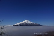 青空の下で雲海に浮かぶ富士山