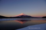 氷に映るピンクの富士山