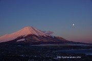 ほんのりピンクの富士山と月