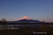 ほんのちょっとピンク色になった富士山