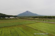 花のない花の都公園