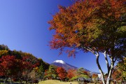 花の都公園清流の里の紅葉