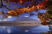 ままの森下の紅葉と富士山