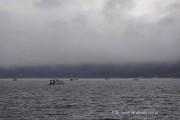 曇天の山中湖に浮かぶドーム船