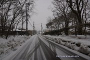 朝から雪が降り始め道路も白く