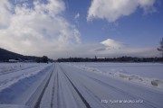 雪が降って道路も真っ白に