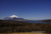 今朝の富士山