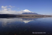 湖面の薄氷の間に逆さ富士