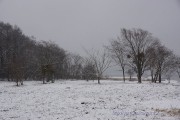 雪で白くなってきました