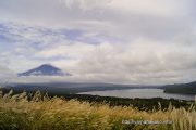黄金色のススキと富士山と山中湖