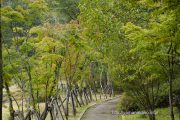 旭日丘湖畔緑地公園