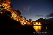 紅葉まつりライトアップと富士山