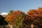 旭日丘湖畔緑地公園の紅葉