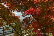 ちっちゃな富士山入り湖畔の紅葉