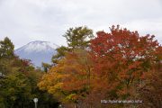旭日丘湖畔緑地公園の紅葉