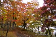 旭日丘湖畔緑地公園の紅葉