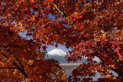 紅葉の狭間に富士山