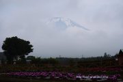 ちょっとだけ富士山