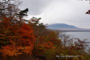 紅葉とちょっぴり富士山