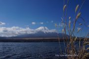 初冬の山中湖からの富士山