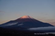 パノラマ台から朝の富士山