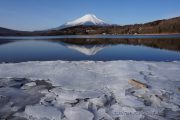 湖畔に打ち上げられた氷と、逆さ富士