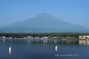 白鳥のお尻と富士山