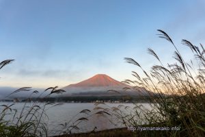 秋の朝の富士山