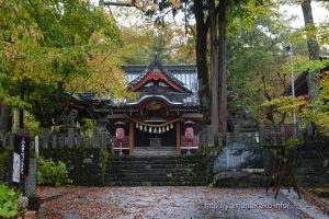 雨に濡れる山中諏訪神社