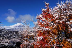 雪景色に紅葉と富士山