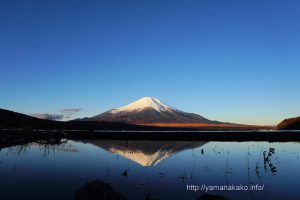 湖畔の水たまりに映る逆さ富士