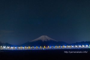 山中湖イルミネーションと富士山
