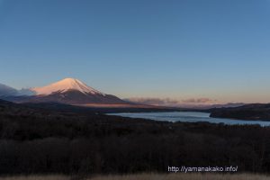 パノラマ台からの富士山