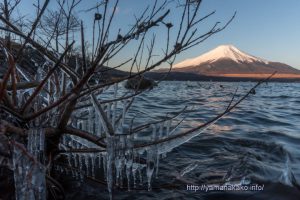 湖畔の氷柱と富士山